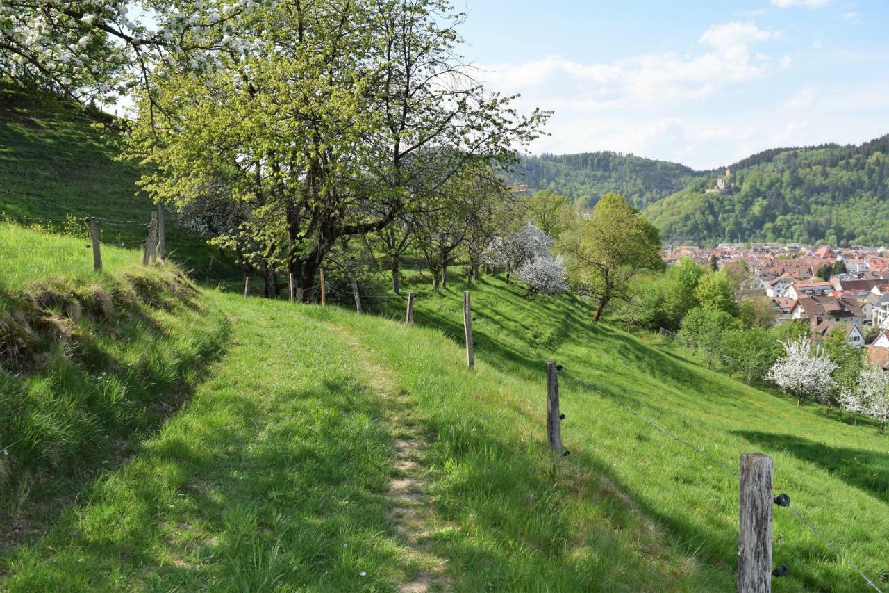Ferienwohnung Im Dettenbachtal Waldkirch Luaran gambar